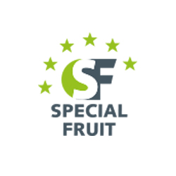 Special Fruit