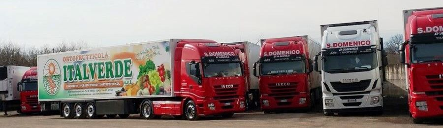 D'AMORA TRASPORTI