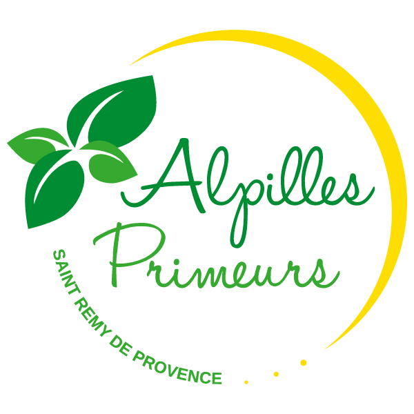ALPILLES PRIMEURS