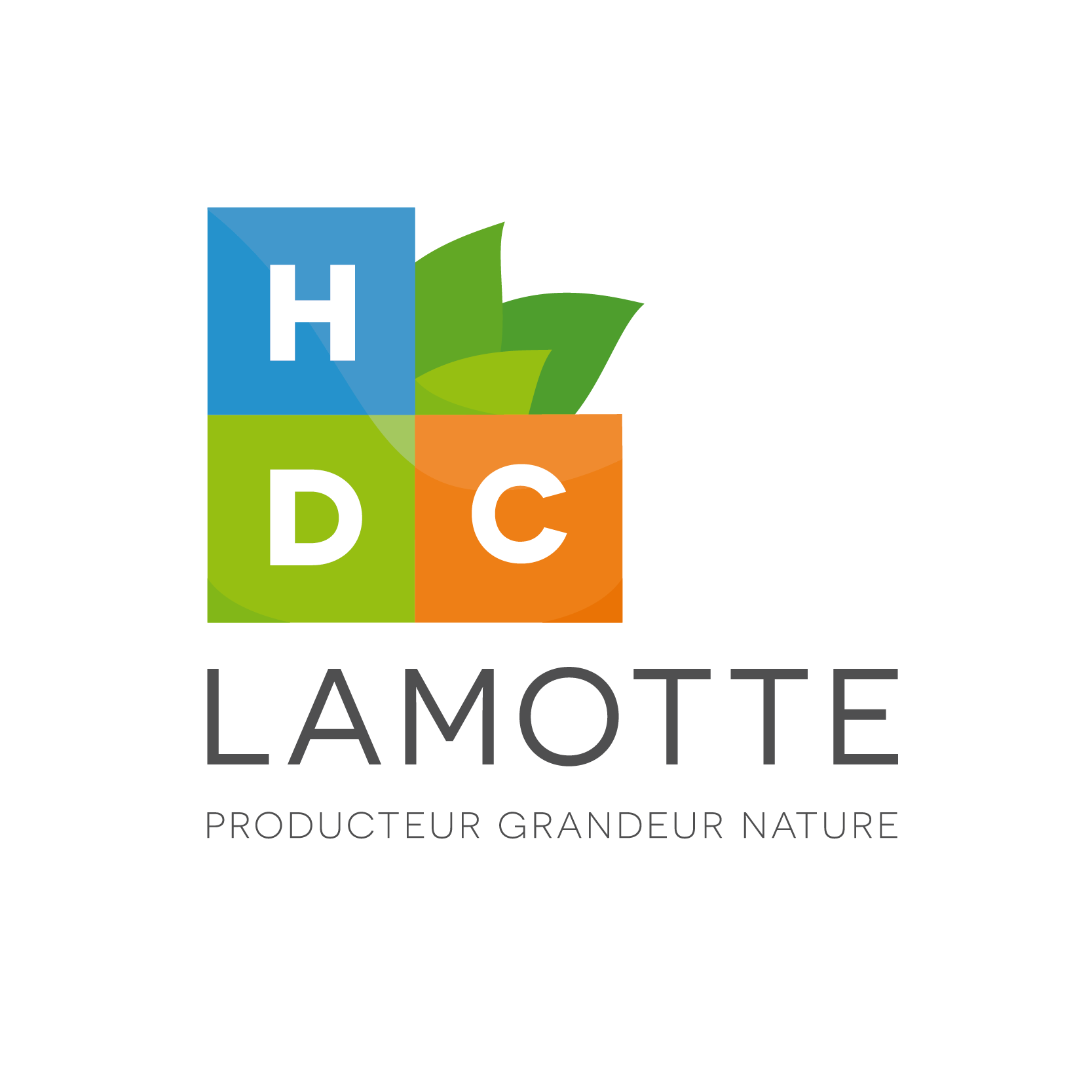 HDC LAMOTTE