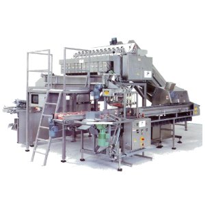 Pesage et comptage -  CP812 - Peseuse électronique