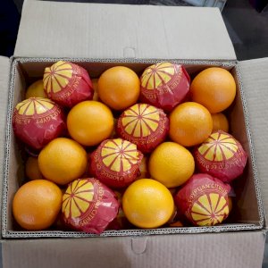 SELLERS ADS : Orange valencia | Libertyprim