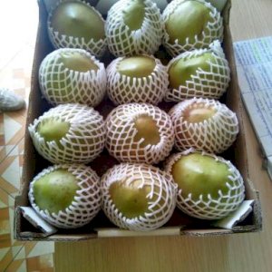 SELLERS ADS : Fresh Apple mangoes | Libertyprim
