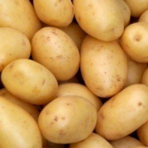 SELLERS ADS : Potato from fresh crop | Libertyprim