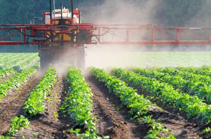 Germany, insects, and glyphosate