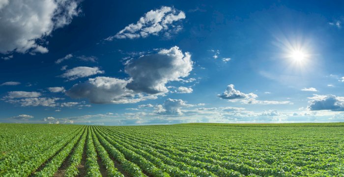 Libertyprim continue de se développer pour mieux servir les professionnels de la filière fruits et légumes