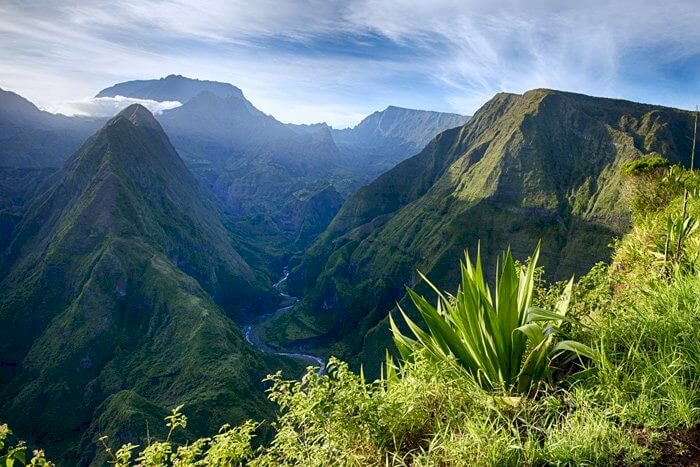 Reunion Island has decided to give up exporting its Pei Mangoes