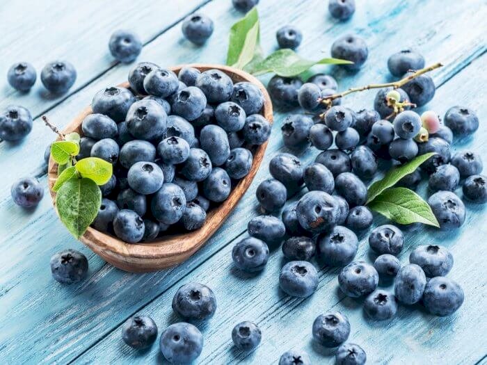 Blueberry season review