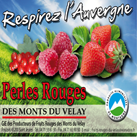 FRUITS ROUGES DU VELAY