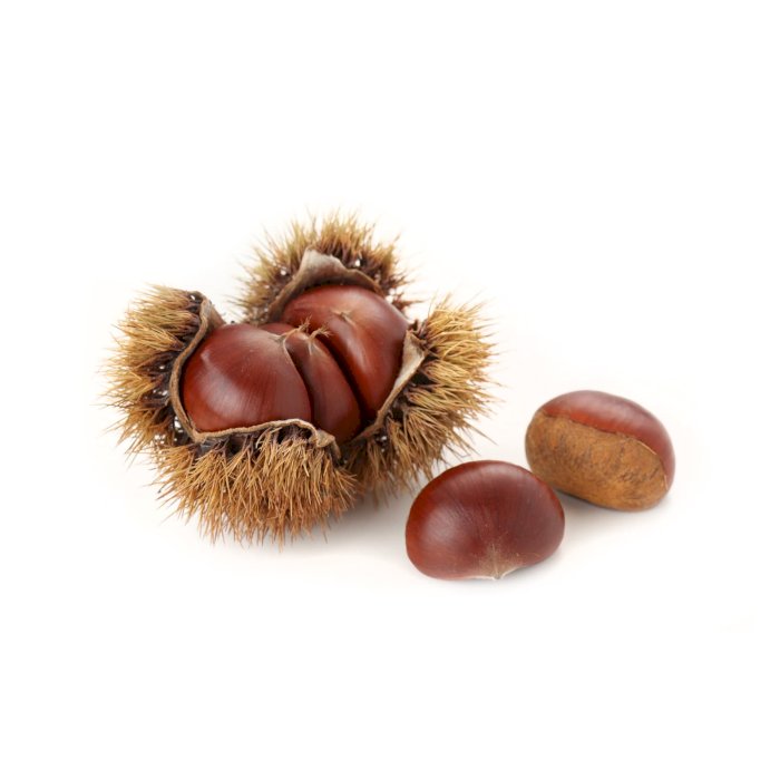Sweet Chestnut Sardonne