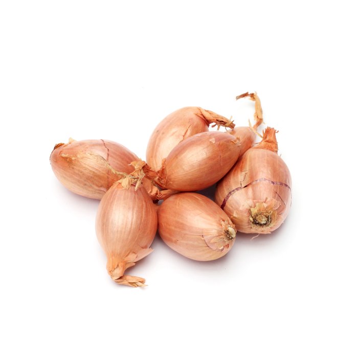 Shallot 