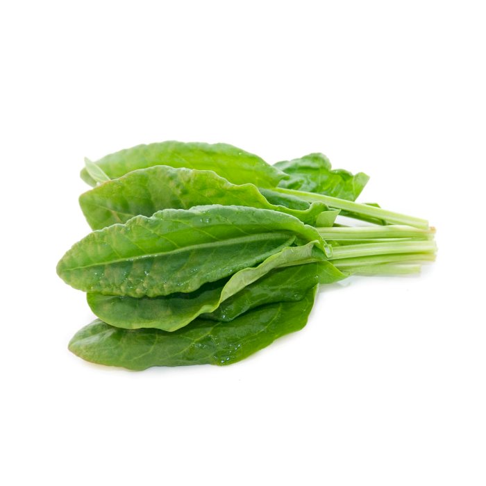Spinach Sprout