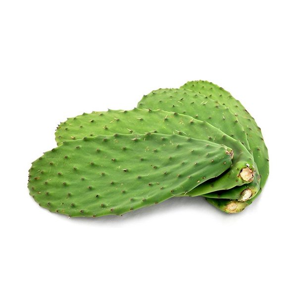Foglie Di Cactus