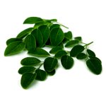 Edible Leaves