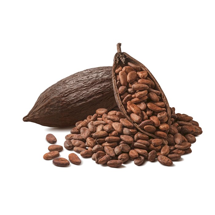 Fève De Cacao Fruits Exotiques, variétés, production, saisonnalité