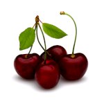 Frutti Di Bosco
