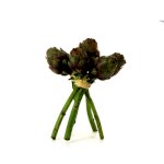 Mini Frutas Y Verduras