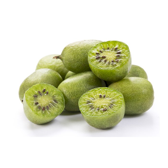 Mini Kiwi