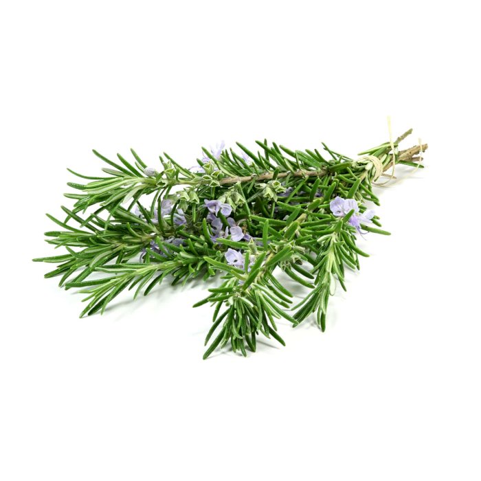 Aromatic Herbs | Libertyprim