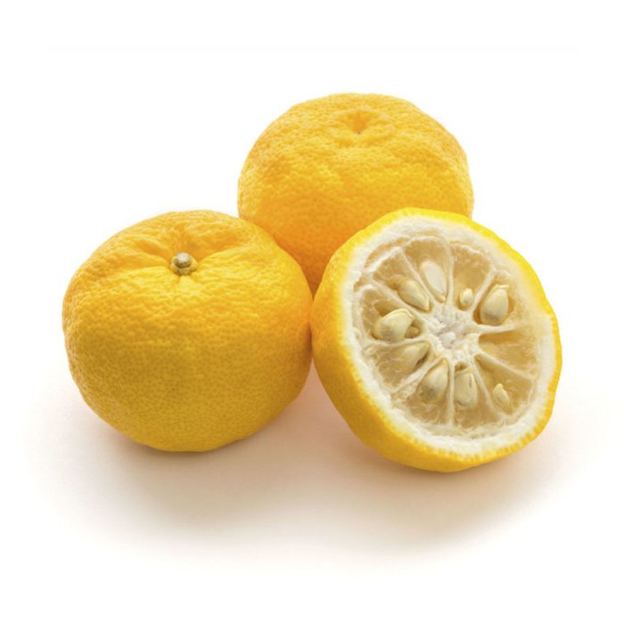 Yuzu Citrus, varieties, production, seasonality