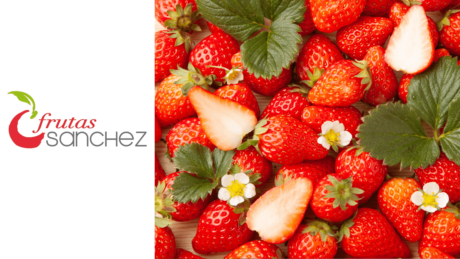 FRUTAS SANCHEZ