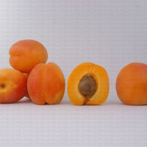 Apricot Mogador