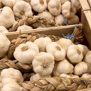 Garlic 