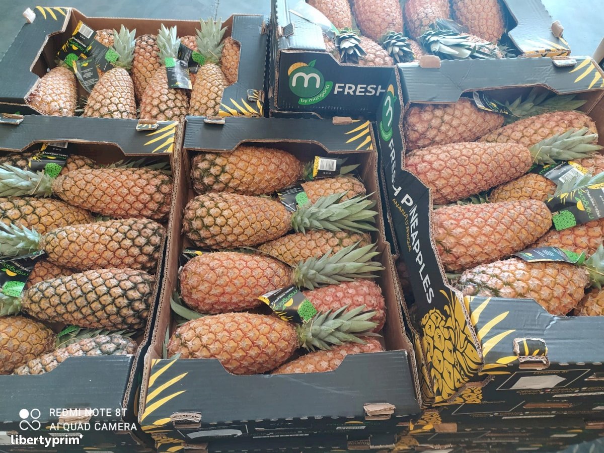 Pineapple Sugarloaf Extra Ghana Conventional Grower - Peruzzo | Libertyprim