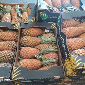 Pineapple Sugarloaf