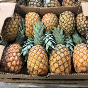 Pineapple Sugarloaf