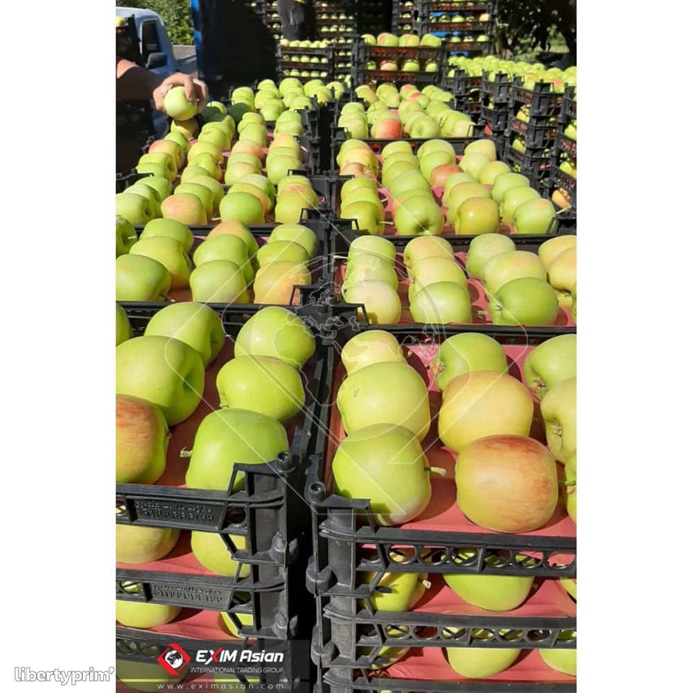 Apple Class 1 Iran Import & Export EXIM Asian International Trading