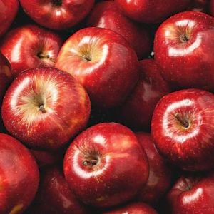 Apple American Red