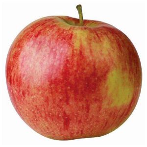 Apple Jonagored