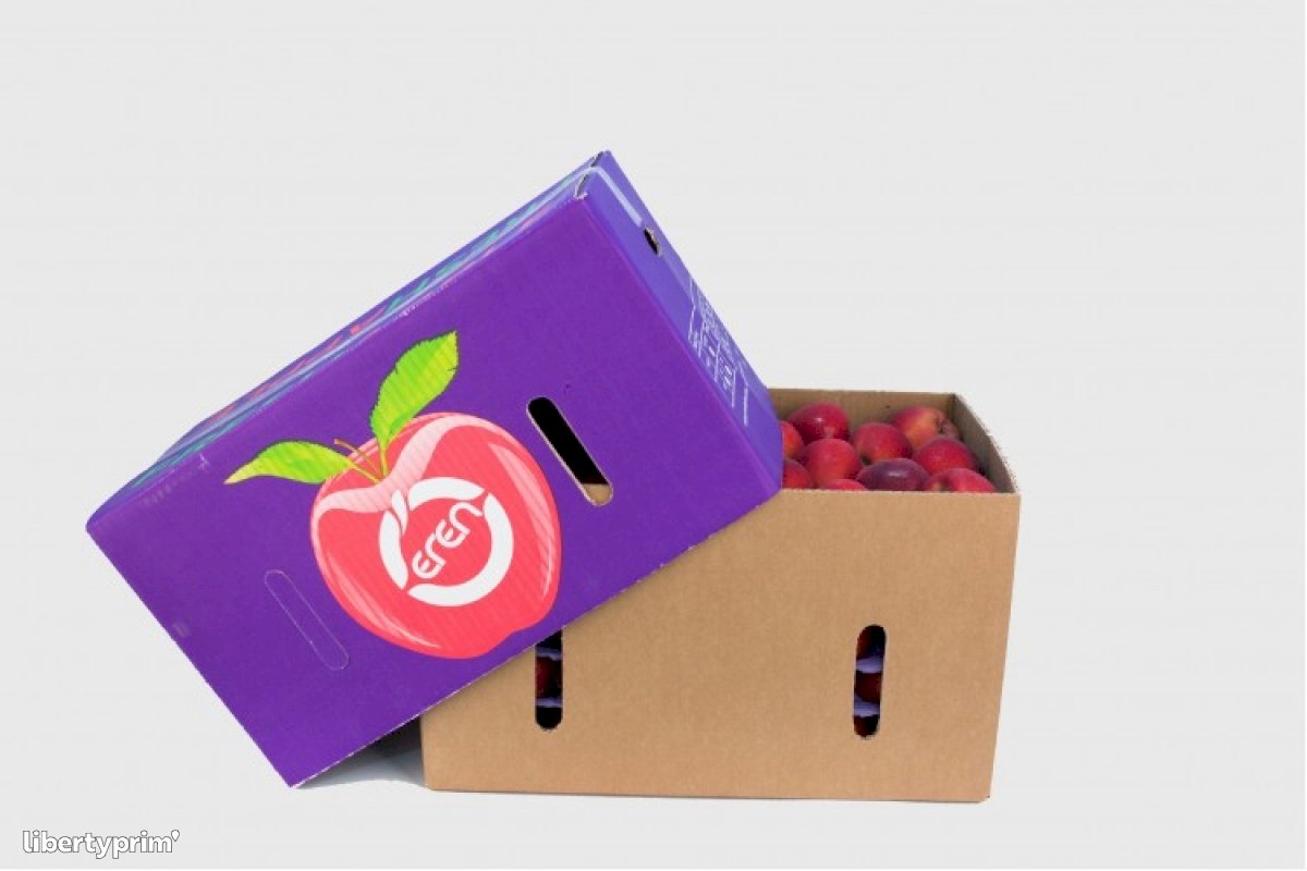 Apple Class 1 Turkey Exporter - Eren Fresh Fruits & Vegetables Export | Libertyprim