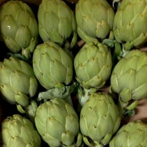 Artichoke 