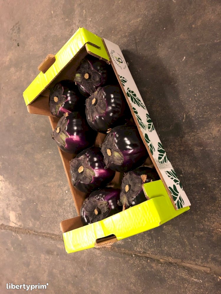 Eggplant Class 1 Italy Conventional Grower - Peruzzo | Libertyprim