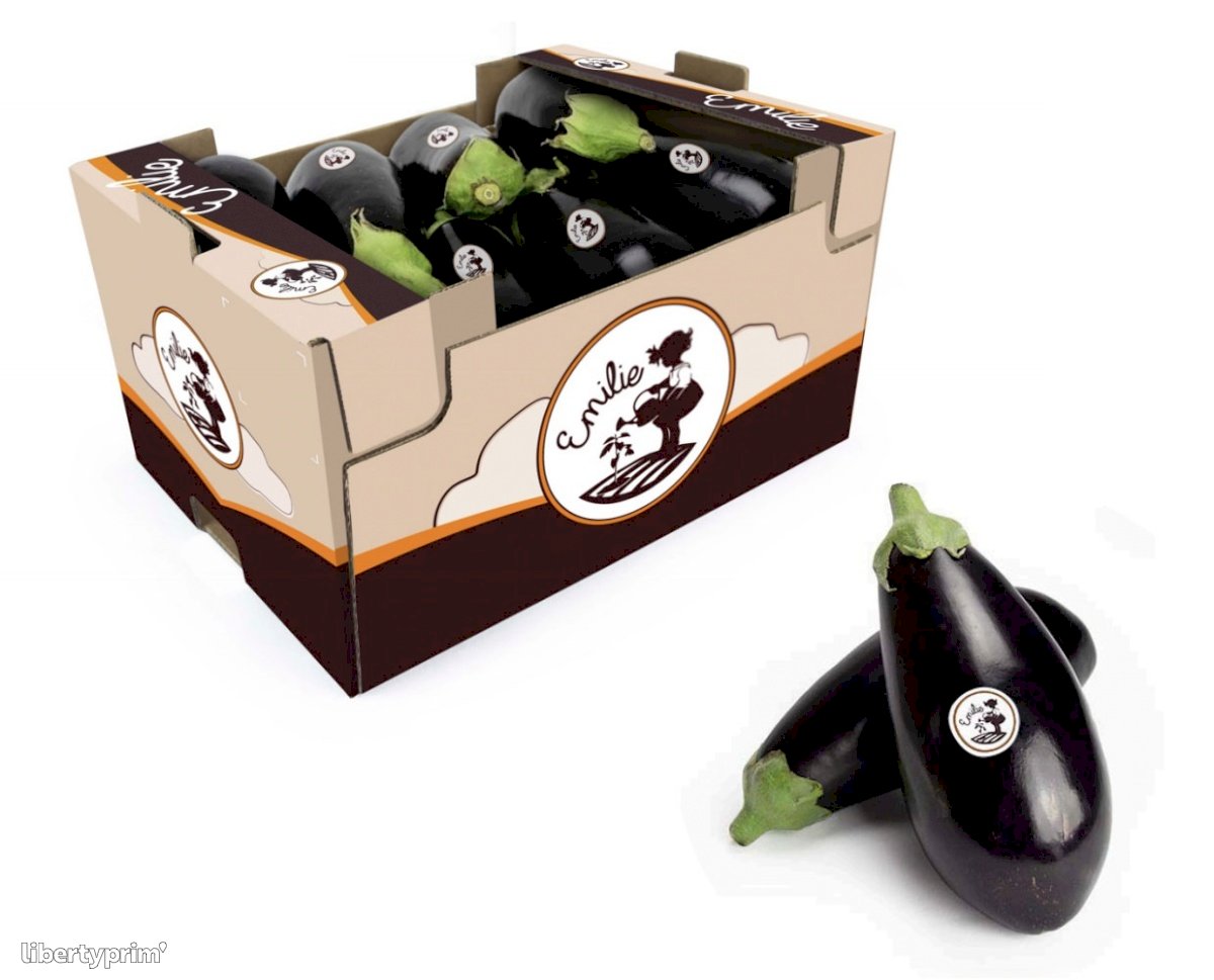 Eggplant Class 1 France Distributor - sorianojustine66 | Libertyprim