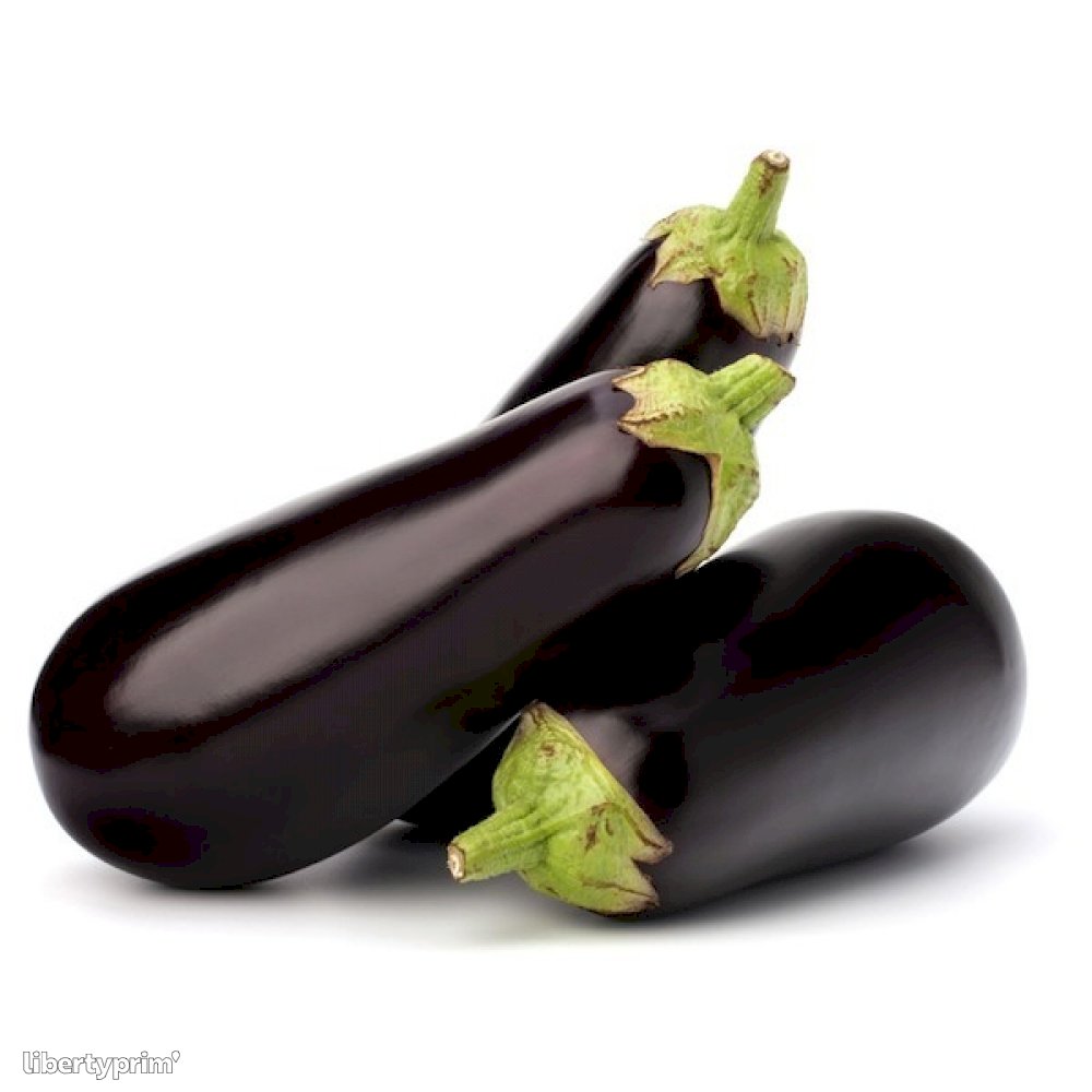 Eggplant Morocco Wholesaler - directoriental59 | Libertyprim