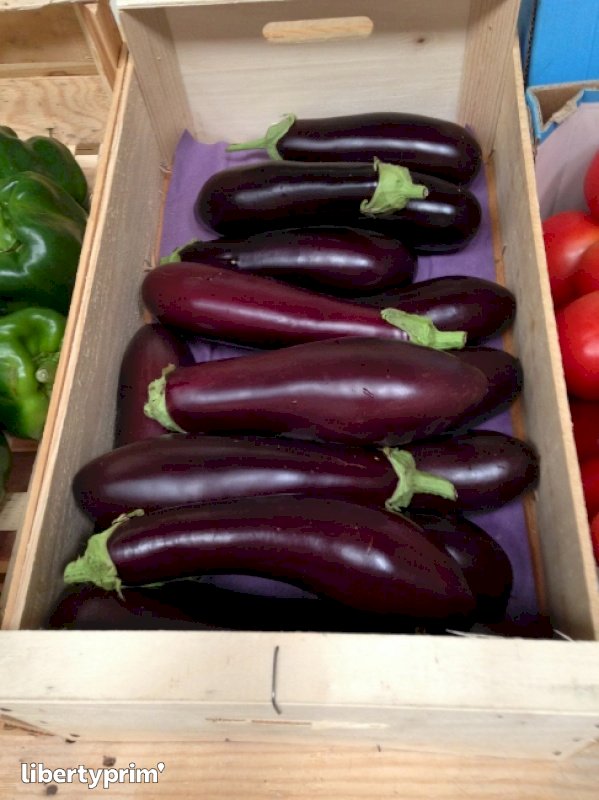 Eggplant France Conventional Grower - FONDOR | Libertyprim