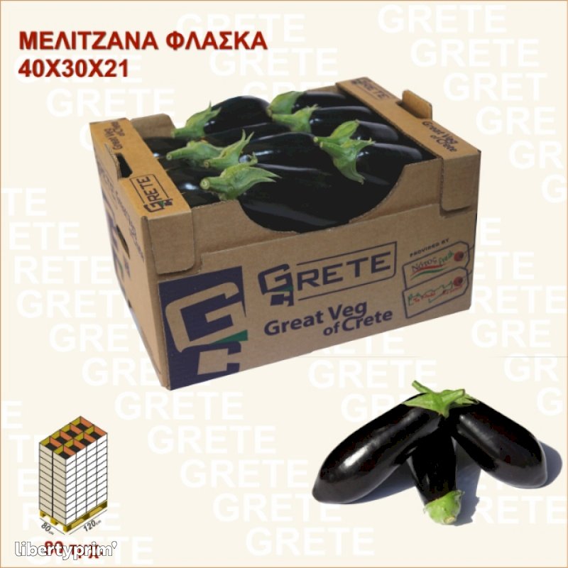 Eggplant Class 1 Greece Conventional Grower - Notos Fresh | Libertyprim