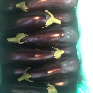 Eggplant 