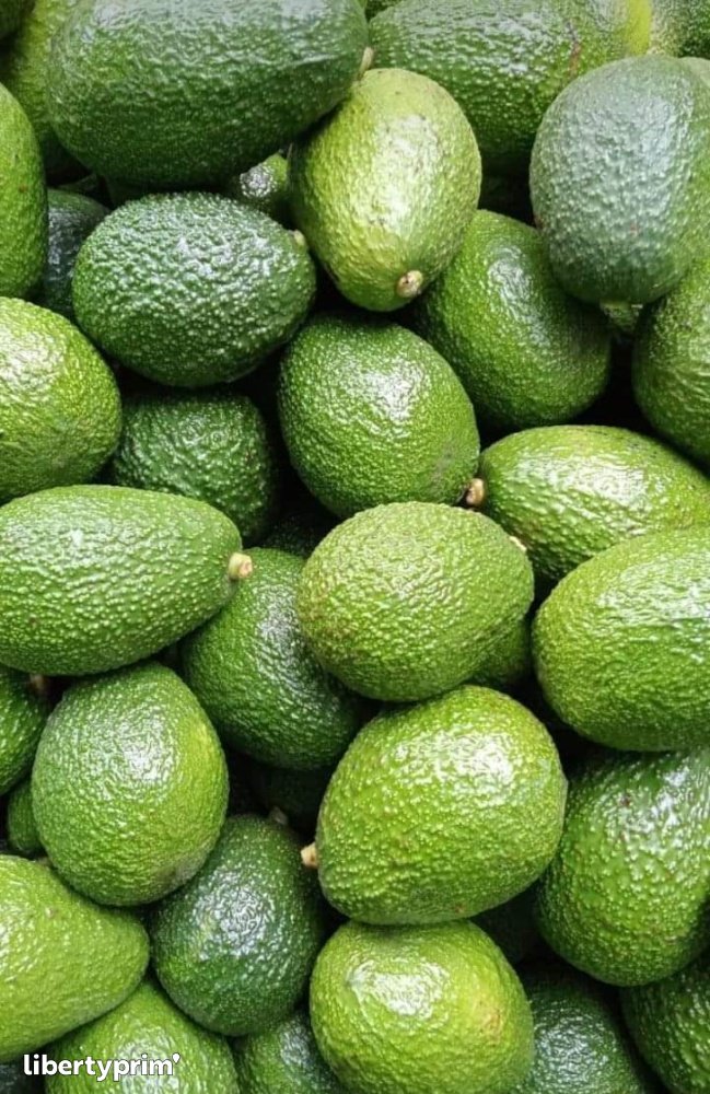 Avocado Hass Class 1 Kenya Import & Export - Talanyak Gardens | Libertyprim