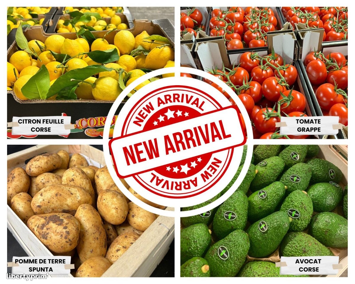 Avocado Class 1 Producer - Peruzzo Group | Libertyprim