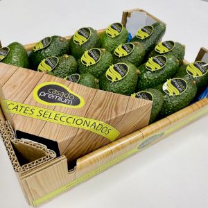 Avocado 