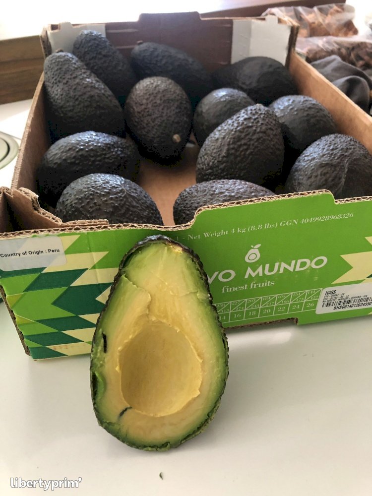 Avocado Hass Class 1 Peru Import & Export - INDIANA IMPORT | Libertyprim