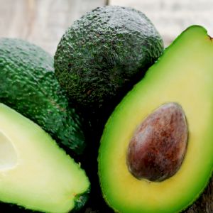 Avocado 