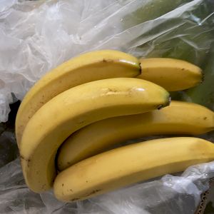Banana Cavendish