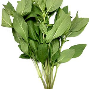Basil Horapa Leaf