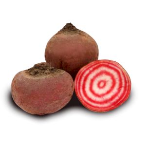 Beet Chioggia