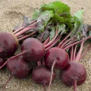 Beet Red